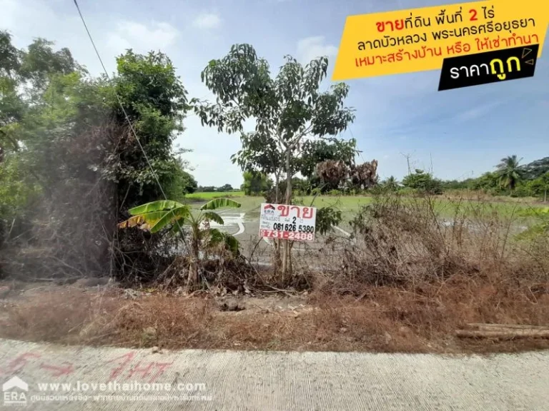 ขายที่ดิน ลาดบัวหลวง พระนครศรีอยุธยา พื้นที่ 2 ไร่ ราคาถูก