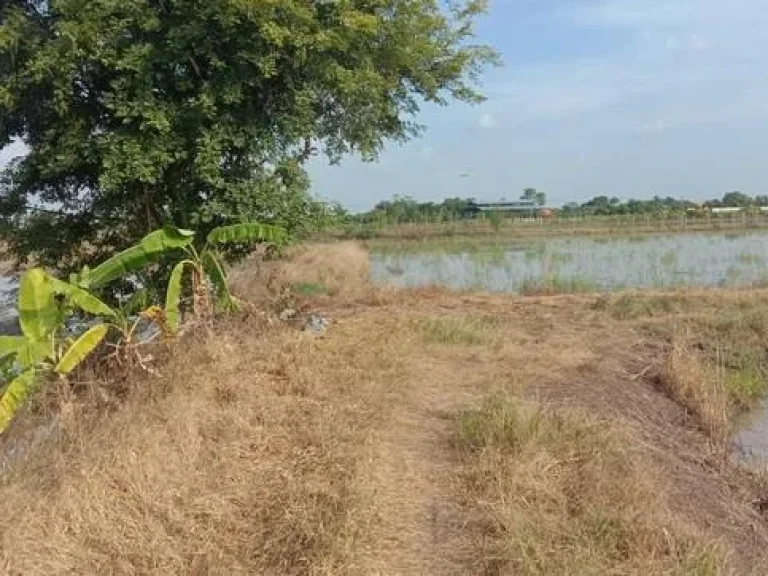 ขายที่ดิน ตบ่อเงิน อลาดหลุมแก้ว จปทุมธานี