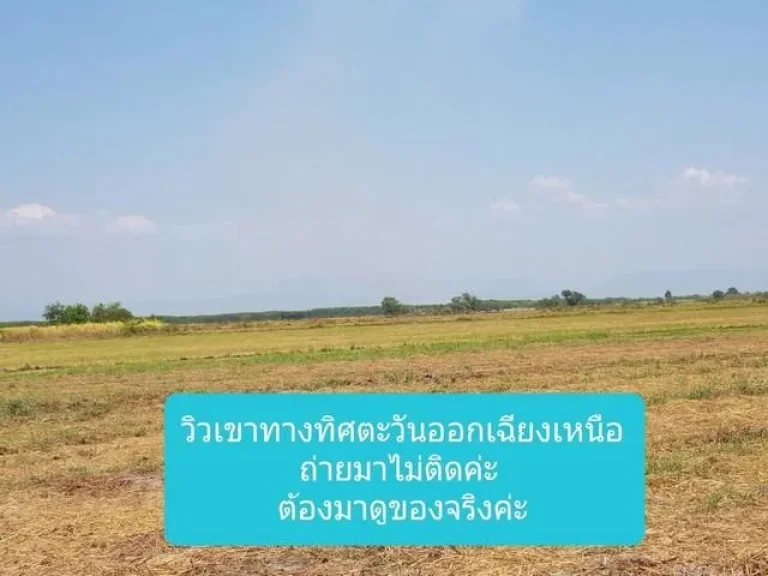 ขายที่ดินติดคลอง เนื้อที่ 75 ไร่ เมืองนครนายก