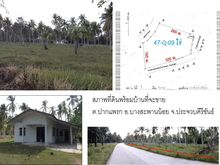 ขายที่ดิน แถมบ้านเดี่ยวชั้นเดียว เนื้อที่ 47 ไร่ อบางสะพานน้อย จประจวบคีรีขันธ์