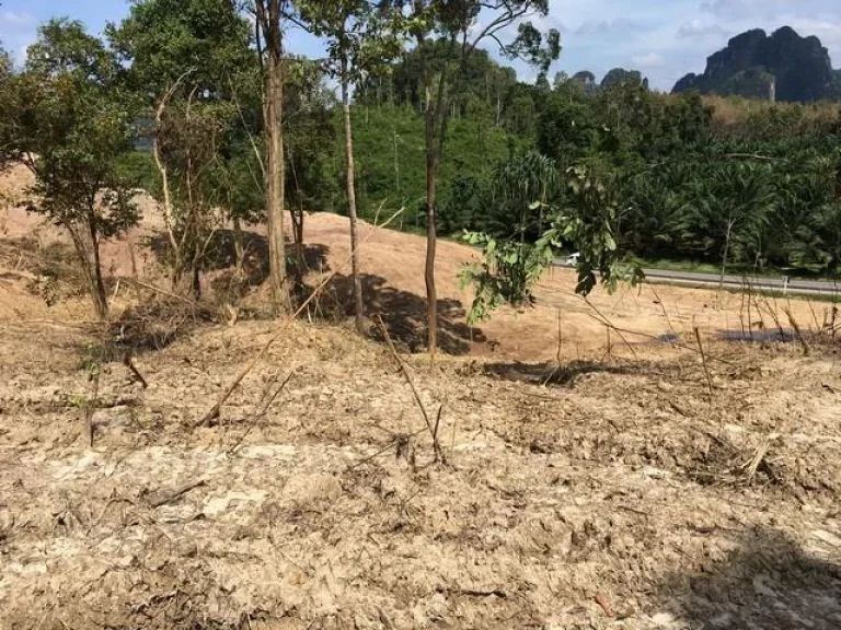 ขายถูกที่ดินอ่าวนาง กระบี่ 20 ไร่ ติดเขา