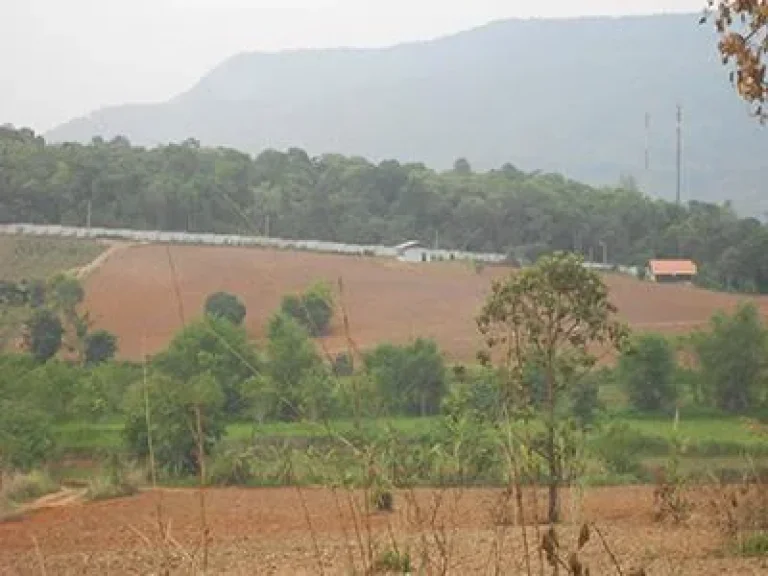 ที่ดินโฉนดเขต อภูเรือ ห่างทางหลวง 300 เมตรไฟฟ้าน้ำสะดวกบรรยากาศดีเหมาะกับบ้านตากอากาศ