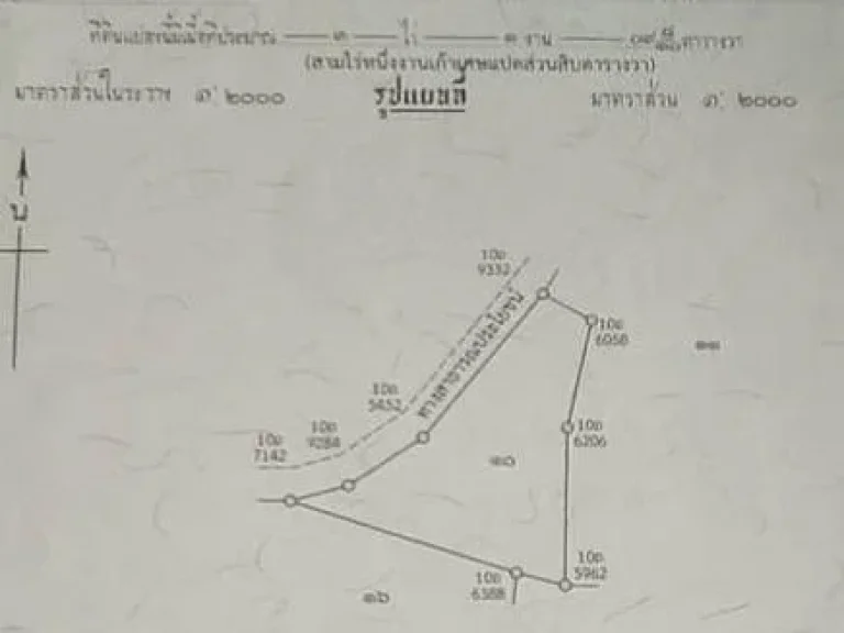 ที่ดิน 3 ไร่ 1 งาน