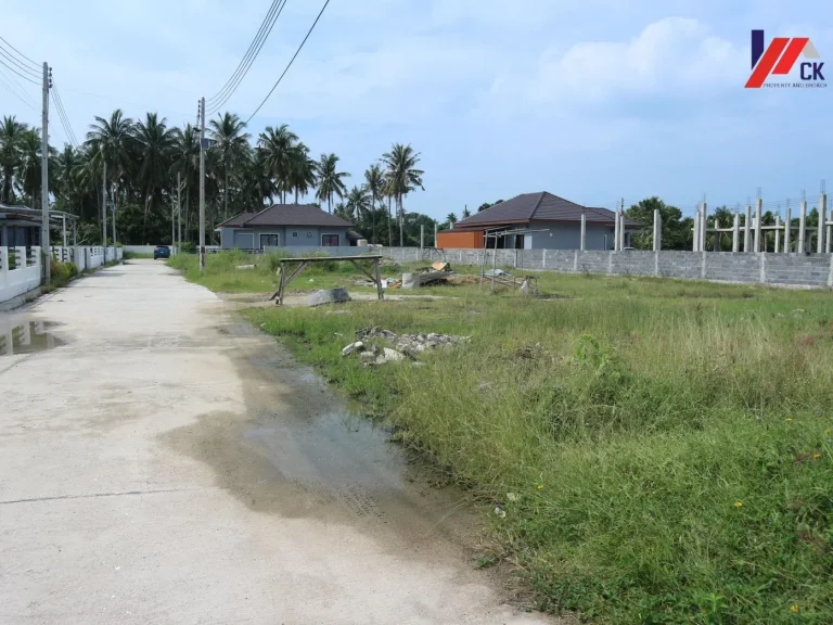 ที่ดิน 80 ตรว ทำรั้วให้ 3 ด้าน มีทั้งหมด 5 แปลง ซอยแม่น้ำ 6 อำเภอเกาะสมุย