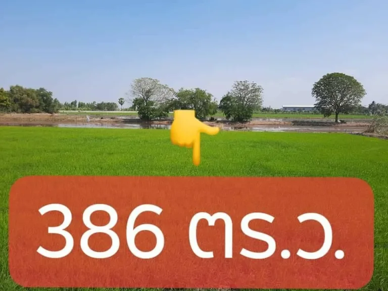 ขายต่ำกว่าราคาตลาด ที่ดินเปล่า386ตรว ยังไม่ถม