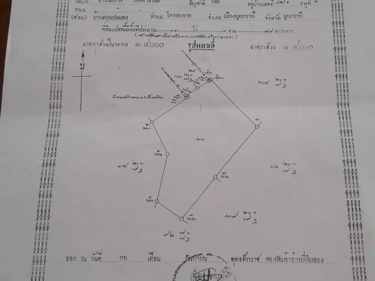 ขายที่ดิน22ไร่ ไร่ล่ะ250000 บ ราคาต่อรองได้ค่ะ