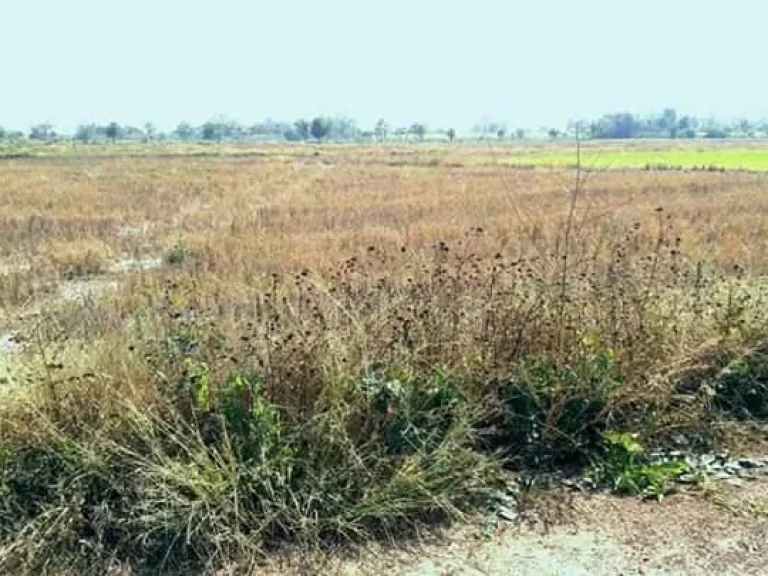 ที่ดินเปล่า ศรีสัชนาลัย สุโขทัย