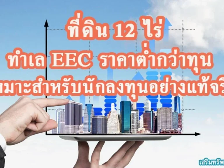 ขายที่ดิน ราคาต่ำกว่าทุน ทำเล EEC จระยอง