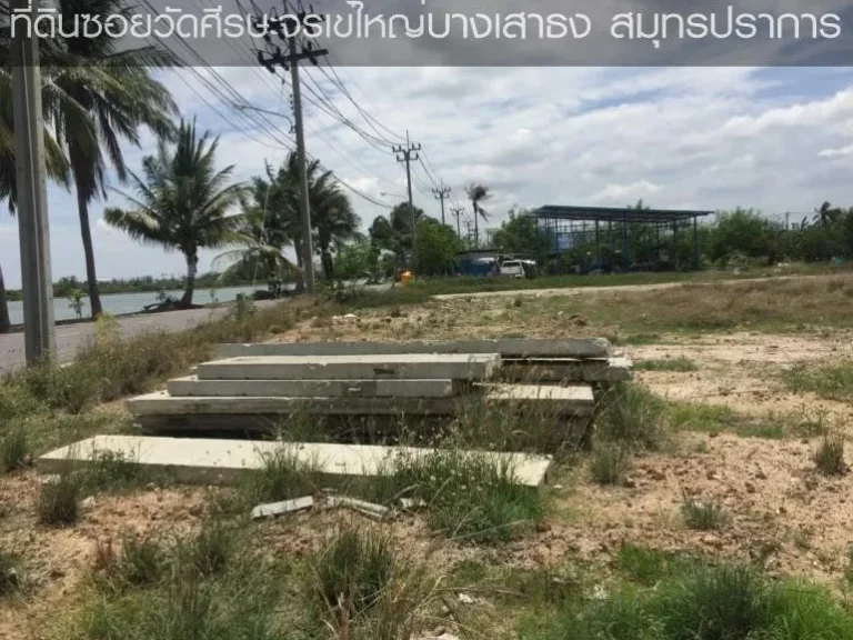 ที่ดินถมแล้ว 1 ไร่ วัดจระเข้ใหญ่ บางเสาธง ศรีวารี