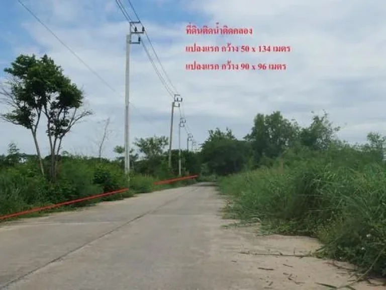 ขายที่ดินติดน้ำติดคลอง 4 ไร่ ริมน้ำติดคลองกรุงเทพ