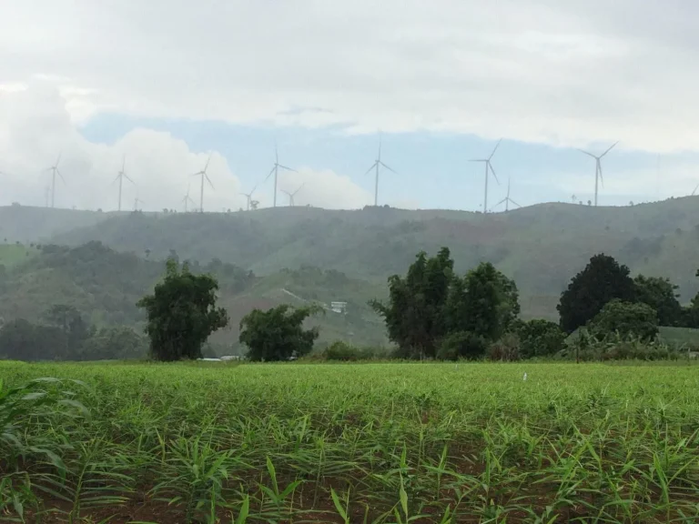 ที่ดินสวยเขาค้อโฉนดถูกต้อง วิวสวย