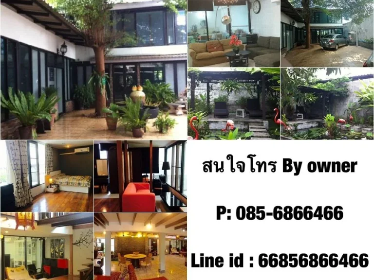 Single Home Office 200 sqw 700 sqm Sukhumvit 36 - Rama 4 Rent ONLY 95000M