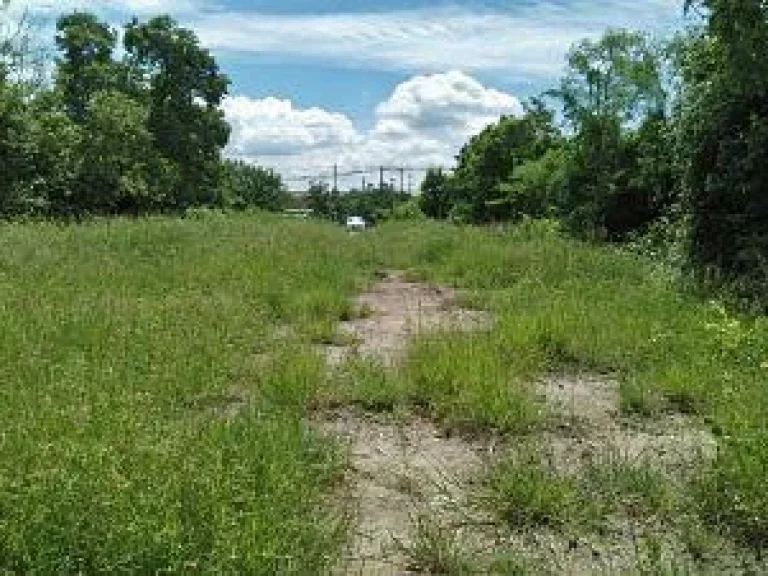 SALE Golden large land not far Bang Pa Kong River Near Motor Way