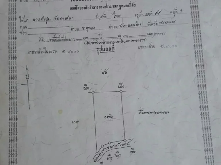 ขายที่นา 13 ไร่ 3 งาน 66 ตรว