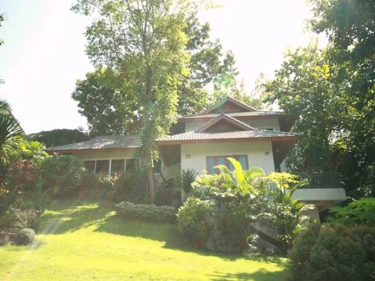 ขายบ้ายเชียงราย Chiang Rai House for sale5202