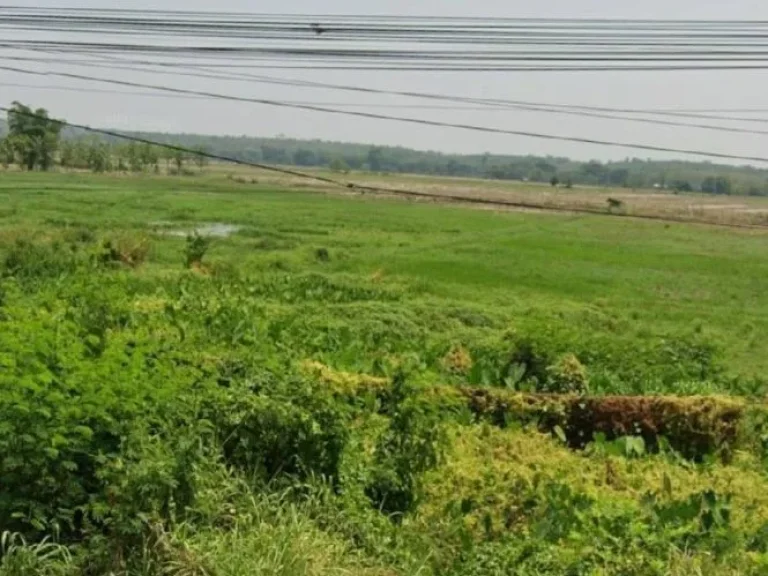 ขายที่ดิน 4-1-49 ไร่ ติดถนนใหญ่ อำเภอเมืองพะเยา