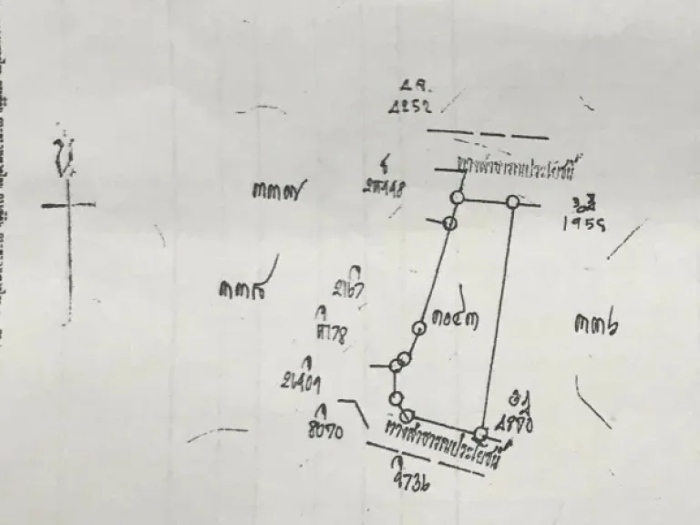 ขายที่ดิน5ไร่ ใกล้ศาลากลางเเห่งใหม่จสุรินทร์