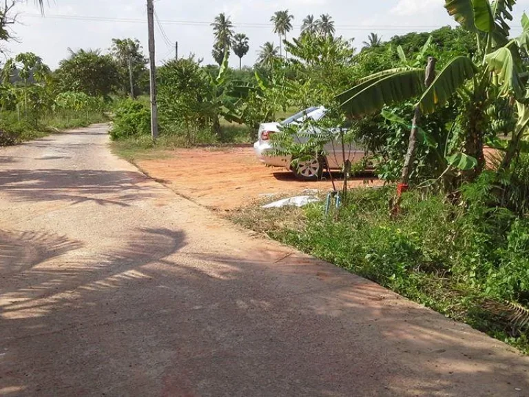 ที่ดิน บ้านตะเภาทอง ท้ายอ่างห้วยยาง