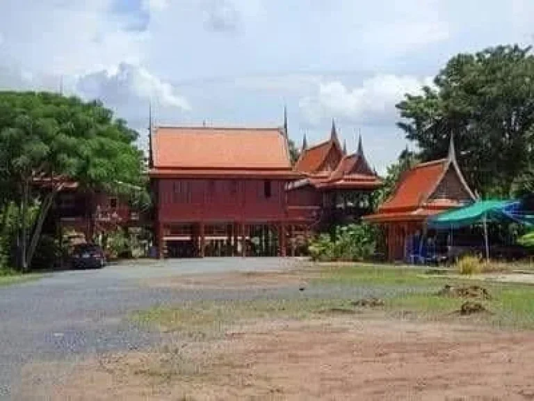 ขายที่ดินพร้อมบ้านเรือนไทย อยุธยา