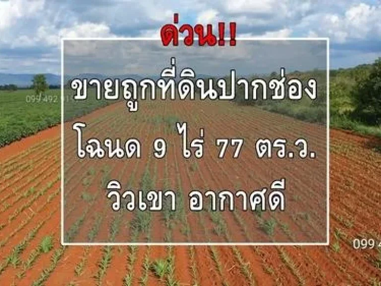 ด่วนขายที่ดินปากช่องโฉนดไร่ละ 650000 บเนื้อที่ 9 ไร่ 77 ตรว