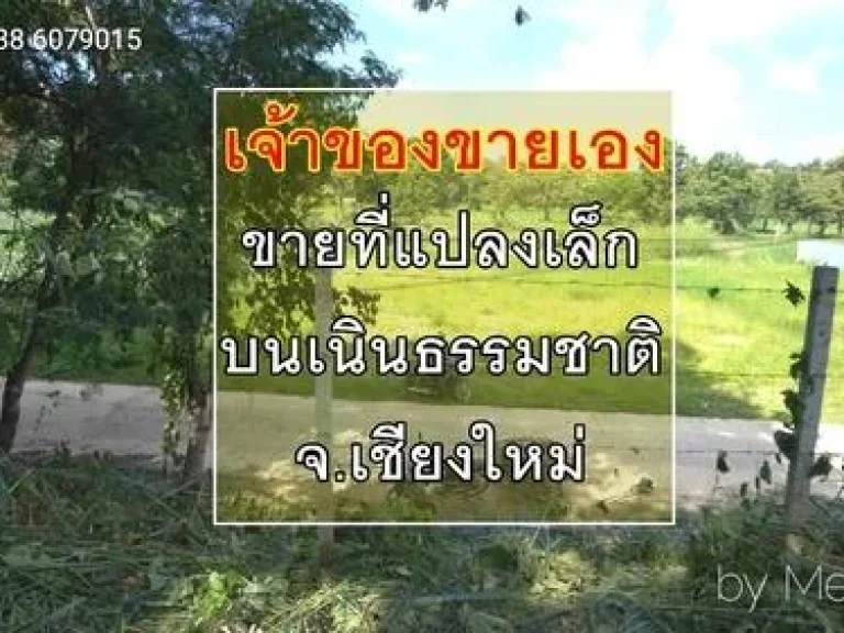 ขายที่ดินเชียงใหม่ แปลงเล็ก507ตรวที่เนินธรรมชาติ ใกล้สนามบิน เจ้าของขายเอง