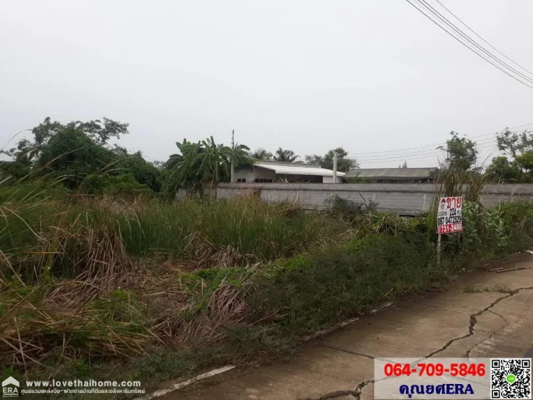 ที่ดินเปล่าถนนวัดลาดปลาดุก พื้นที่ 224 ตรวซอยวัดเต็มรักสามัคคี