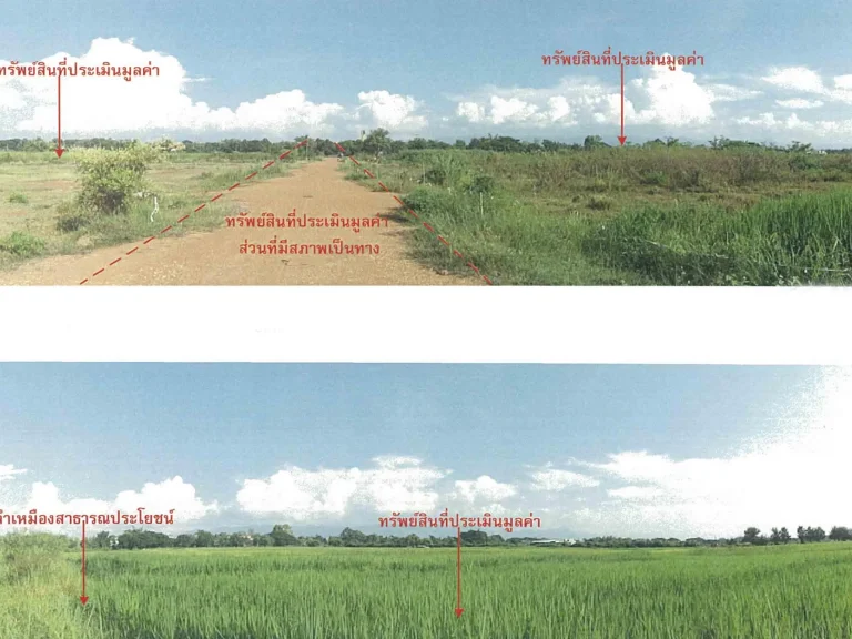 ที่ดินเปล่าอำเภอเมืองแพร่ 14-3-19 ไร่