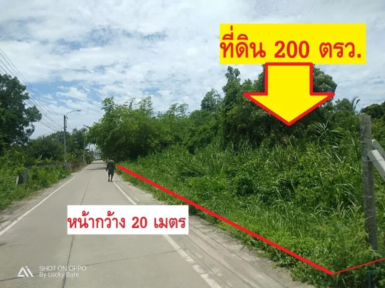 ขายที่ดิน200ตรว ตท่าอิฐ อปากเกร็ด จนนทบุรี --ใกล้หมู่บ้านพฤกษาดีไลท์ ท่าอิฐ