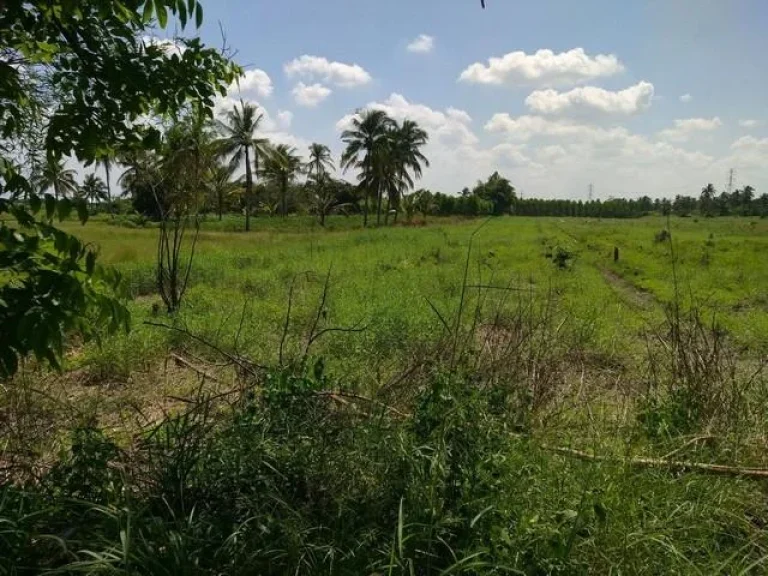 ขายที่ดินสวยใกล้อ่างเก็บน้ำคลองหลวง รัชชโลทร