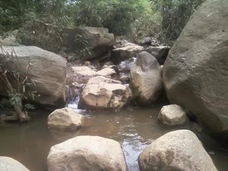 ขายที่ดิน10 ไร่วิวสวย ติดลำธารธรรมชาติ เจ้าของขายเอง