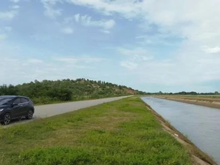 ขายที่ดินโฉนด 400 ไร่ อำเภอสองพี่น้อง จังหวัดสุพรรณบุรี