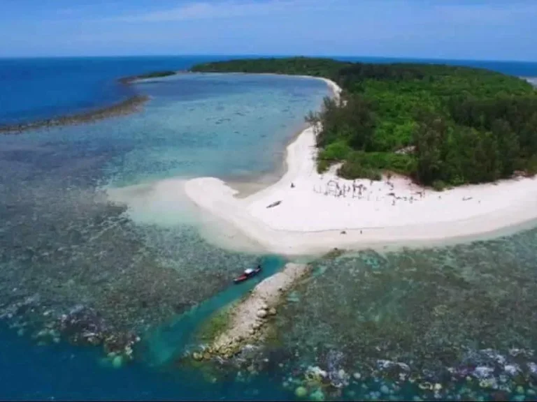 ขายที่ดินเกาะราบ เกาะส่วนตัว 100 ไร่ อเกาะสมุย จสุราษฏร์