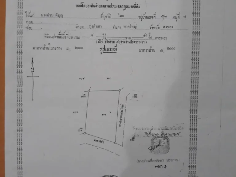 ที่ดินเหมาะแก่การสร้างรีสอร์ต