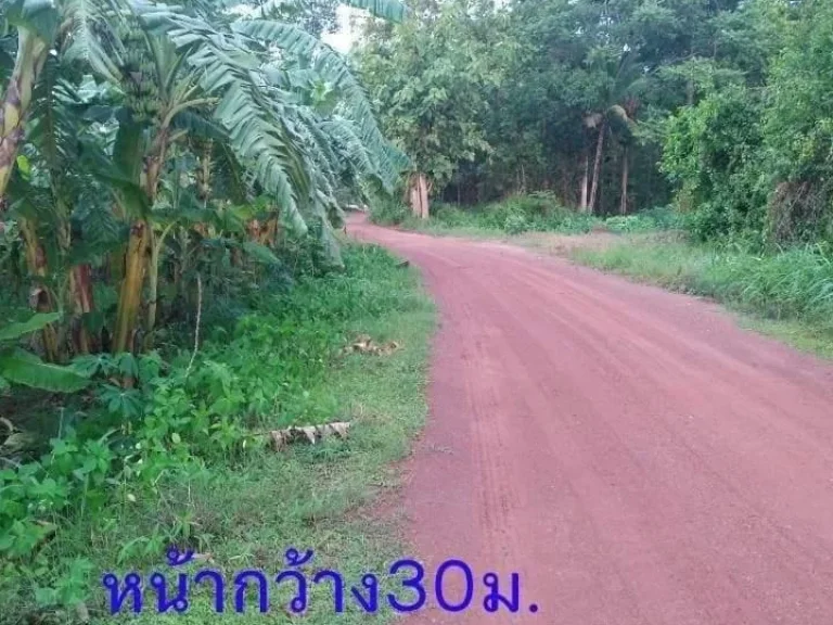 ขายที่ดินติดแม่น้ำปิง3ไร่