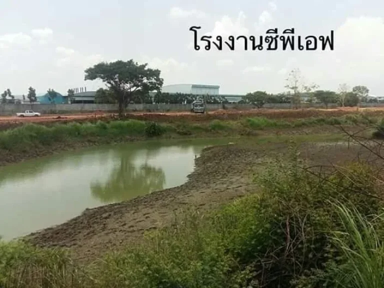 ขายที่ดิน 11-2-69 ไร่ ทำเป็นบ่อเลี้ยงปลา อเดชอุดม