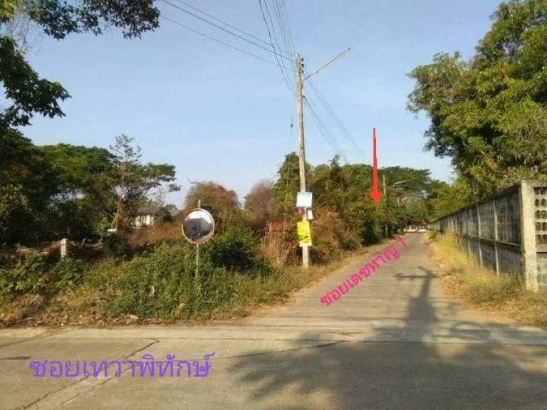 ขายที่ดินเขตเทศบาลเมืองศรีสะเกษ