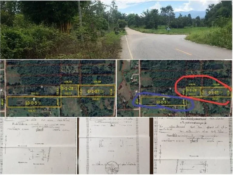 ขายที่ดินติดถนน อำเภอแม่แตง ราคาถูกมาก เนื้อที่ 10-0-5 ไร่