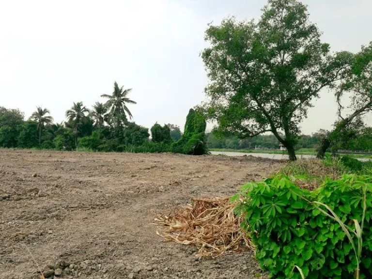 ขายที่ดินทำเลทองติดแม่น้ำท่าจีน ด้านข้างติดคลอง