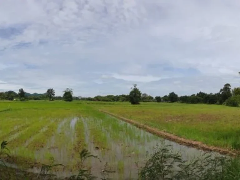 ขายที่ดินหน้าติดถนนหลังติดน้ำ เขาใหญ่ปากช่อง ตขนงพระ อปากช่อง จนครราชสีมา เนื้อที่ 15 ไร่ 30 ตารางวา คุณตอง 065-554-2549