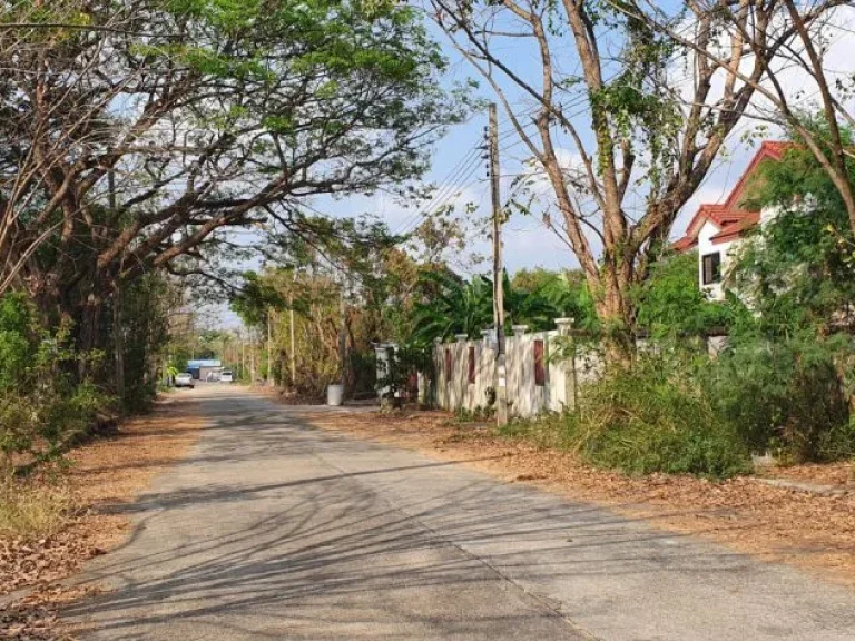 ขายที่ดิน 200 ตรวพุทธมณฑลสาย2 บางแวก ใกล้แยกทศกัณฑ์ มบอรุณสุนทรี