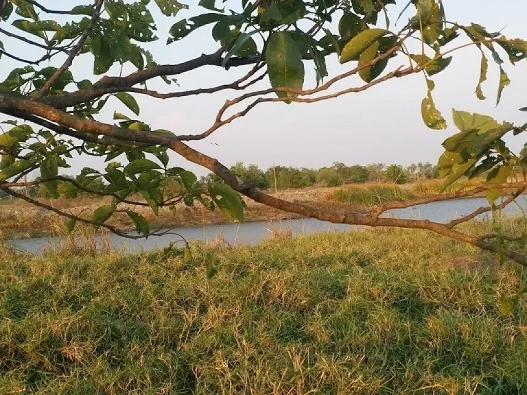 ที่ดินแปลงสวย ติดเลค วิวงาม ในสนามกอล์ฟสุวรรณภูมิ สดได้ผ่อนได้เอาที่สะดวก T062-1574449