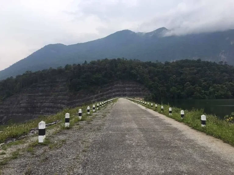 ขายที่ดินวิวดอย เมืองงาย เชียงดาว เชียงใหม่