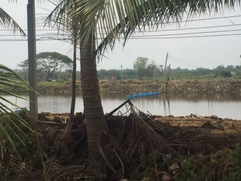 ขายที่ดิน 10 ไร่ อยู่ย่านหนองจอก อท่ายาง จ เพชรบุรี