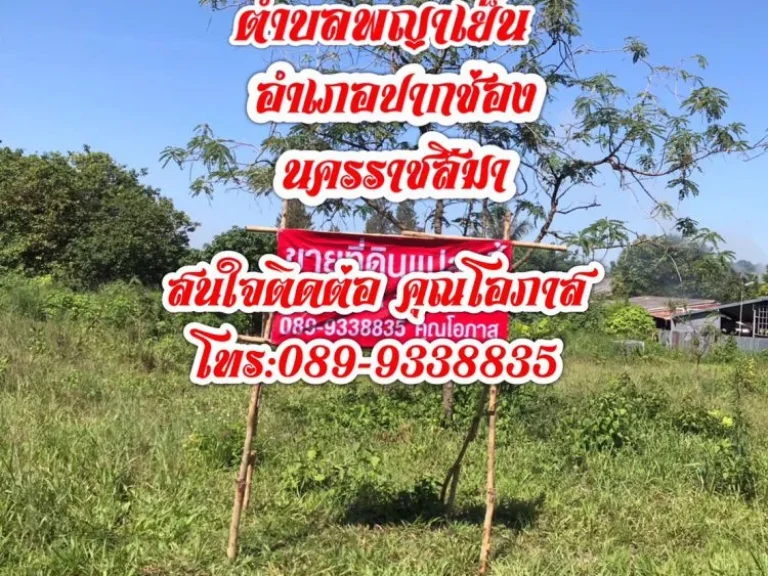 ขายที่ดิน18ไร่3งาน ขนาดพื้นที่80เมตรx360เมตร บนถนน โยธาธิการ 2068 นครราชสีมา ตพญาเย็น อ ปากช่อง จนครราชสีมา วิวเขา สวยมากๆ รับนายหน้าท