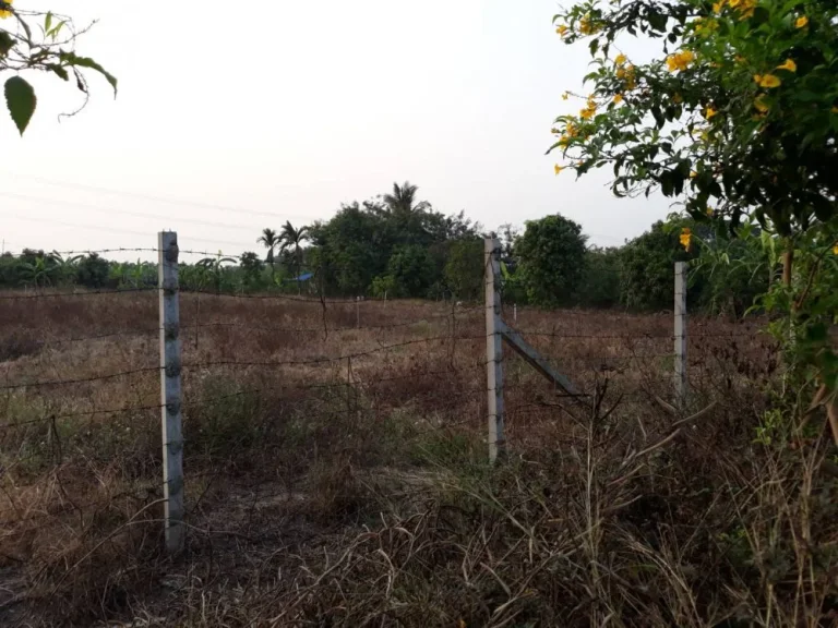 ขายที่ดิน 1 ไร่ ถมแล้วติดถนนในซอยเกตุอ่ำ บางคูรัด นนทบุรี เหมาะทำที่พักอาศัย ออฟฟิศ โกดัง หรือบ้านเช่า