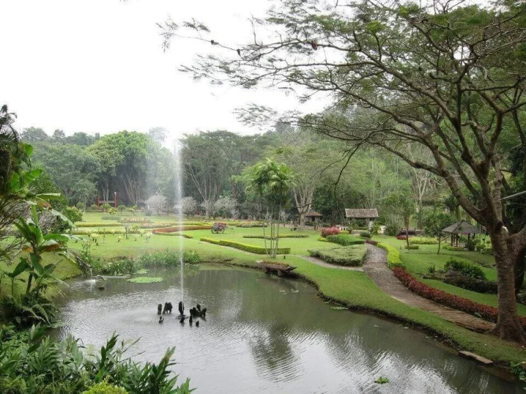 ขายรีสอทร์แถวบ้านปง หางดง เชียงใหม่