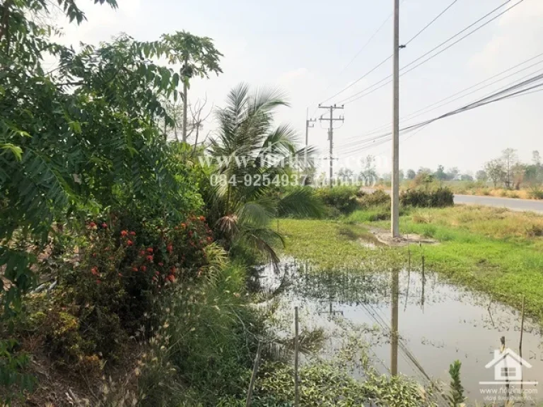 ขายที่ดินมหาโพธิ-ขายที่ดินสระโบสถ์-ขายสวนลพบุรี 2ไร่ โฉนด ตมหาโพธิ อสระโบสถ์ จลพบุรี รหัส L341