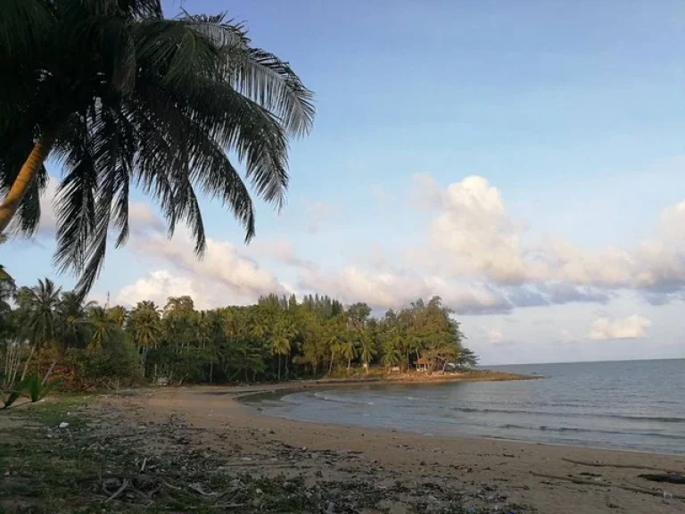 ขายที่ดินติดชายหาดคอเขา อหลังสวน จชุมพร เนื้อที่ 4ไร่ครึ่ง ราคาไร่ละ 45ล้านบาท