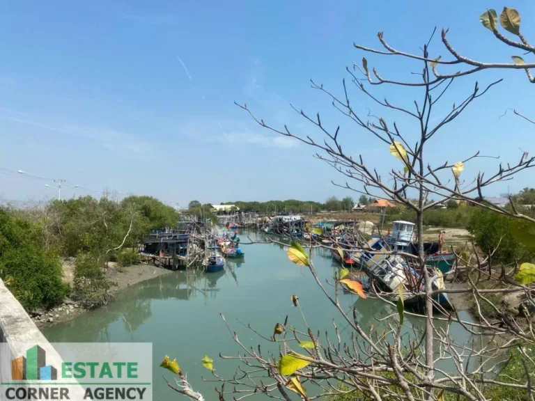 ขายที่ดิน ริมทะเล ตำบล แหลมผักเบี้ย อำเภอ บ้านแหลม จังหวัด เพชรบุรี