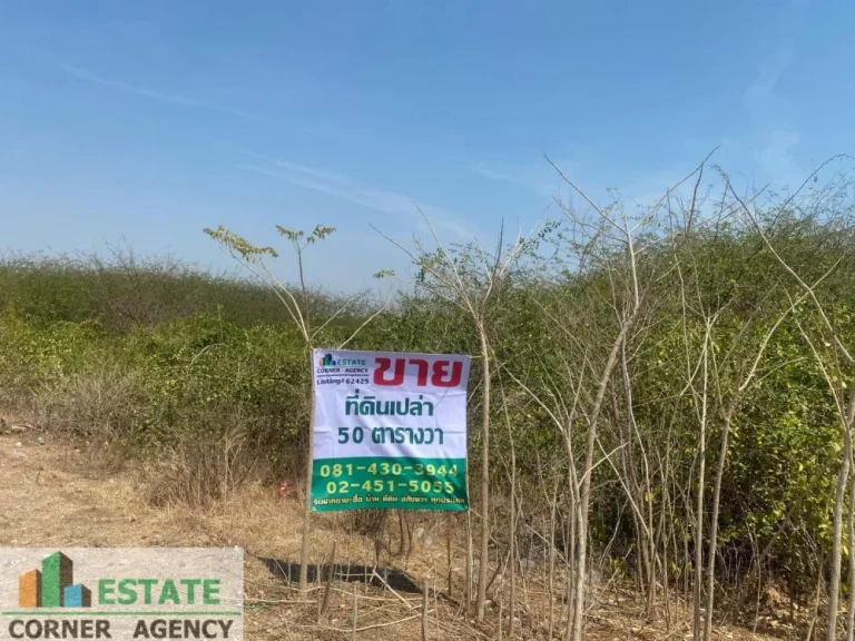 ขายที่ดิน ริมทะเล ตำบล แหลมผักเบี้ย อำเภอ บ้านแหลม จังหวัด เพชรบุรี